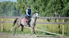 Lekcije jahanja za početnike