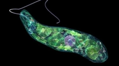 Značenje najjednostavnijeg prirode i života osobe