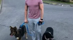 Zvijezde prikazuju posao koji pomažu beskućnicima životinja